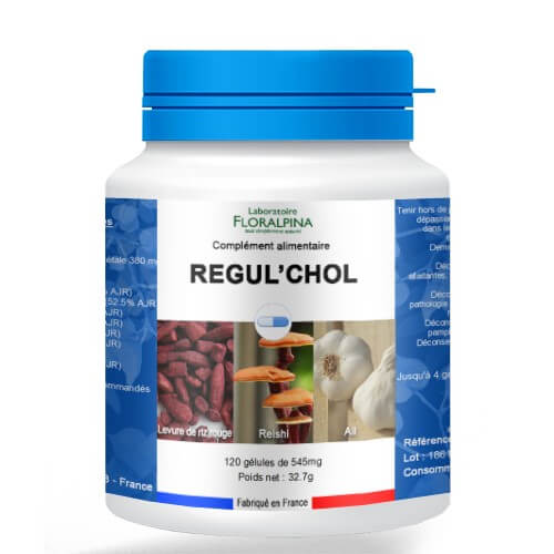 Régul'chol 495 mg - Mincidelice