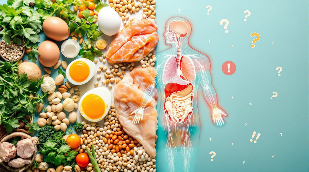 Dieta baja en carbohidratos: ¿realmente funciona en 2025?