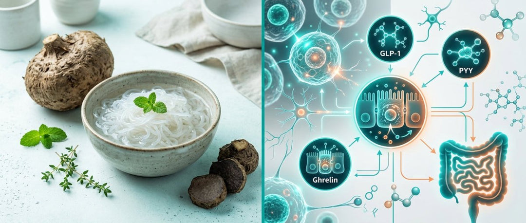 Konjac y dieta hiperproteica: la combinación perfecta - Mincidelice