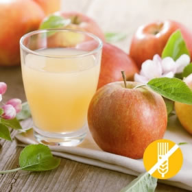 SIN GLUTEN Bebida Hiperproteica Manzana - Boisson Pomme