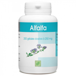 Alfalfa 200 gélules dosées à 250 mg Complément Alimentaire