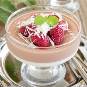 Panna cotta framboise hyperprotéinée EXCLUSIF SG
